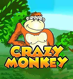 Crazy Monkey